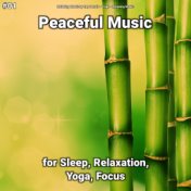 #01 Peaceful Music for Sleep, Relaxation, Yoga, Focus