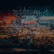 35 Ultimate Summer Rain Soundscapes for Summer Rain