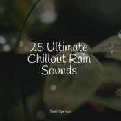 25 Ultimate Chillout Rain Sounds
