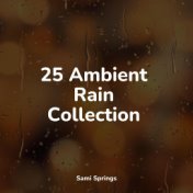 25 Ambient Rain Collection
