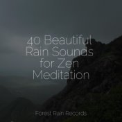 40 Beautiful Rain Sounds for Zen Meditation