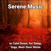 !!!! Serene Music to Calm Down, for Sleep, Yoga, Next-Door Noise