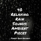 40 Relaxing Rain Sounds: Ambient Pieces