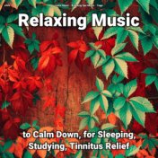 zZZz Relaxing Music to Calm Down, for Sleeping, Studying, Tinnitus Relief