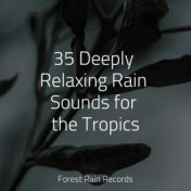 35 Deeply Relaxing Rain Sounds for the Tropics