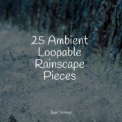 25 Ambient Loopable Rainscape Pieces