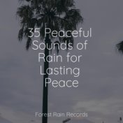 35 Peaceful Sounds of Rain for Lasting Peace