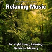 #01 Relaxing Music for Night Sleep, Relaxing, Wellness, Memory