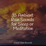 35 Ambient Rain Sounds for Sleep or Meditation