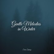 Gentle Melodies in Water