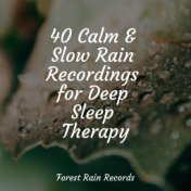40 Calm & Slow Rain Recordings for Deep Sleep Therapy