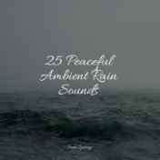 25 Peaceful Ambient Rain Sounds