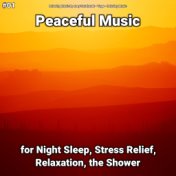 #01 Peaceful Music for Night Sleep, Stress Relief, Relaxation, the Shower