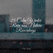 25 Calm Winter Rain and Nature Recordings