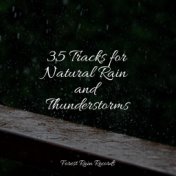 35 Tracks for Natural Rain and Thunderstorms