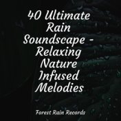 40 Ultimate Rain Soundscape - Relaxing Nature Infused Melodies