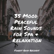 35 Mood Peaceful Rain Sounds for Spa & Relaxation