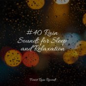 #40 Rain Sounds for Sleep and Relaxation