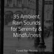 35 Ambient Rain Sounds for Serenity & Mindfulness