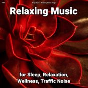 zZZz Relaxing Music for Sleep, Relaxation, Wellness, Traffic Noise