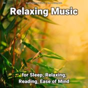 zZZz Relaxing Music for Sleep, Relaxing, Reading, Ease of Mind