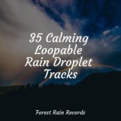 35 Calming Loopable Rain Droplet Tracks