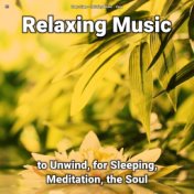 !!!! Relaxing Music to Unwind, for Sleeping, Meditation, the Soul