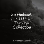 35 Ambient Rain & Water Through Collection