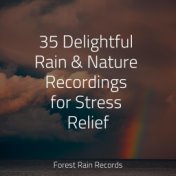 35 Delightful Rain & Nature Recordings for Stress Relief