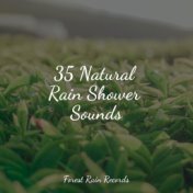 35 Natural Rain Shower Sounds