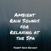 Ambient Rain Sounds for Relaxing at the Spa