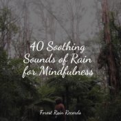 40 Soothing Sounds of Rain for Mindfulness