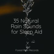 35 Natural Rain Sounds for Sleep Aid