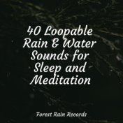 40 Loopable Rain & Water Sounds for Sleep and Meditation