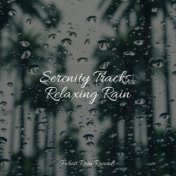 Serenity Tracks: Relaxing Rain