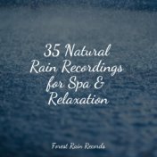 35 Natural Rain Recordings for Spa & Relaxation