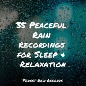 35 Peaceful Rain Recordings for Sleep & Relaxation