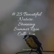 #25 Beautiful Nature: Stunning Summer Rain Collection