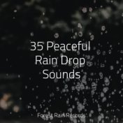 35 Peaceful Rain Drop Sounds
