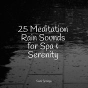 25 Meditation Rain Sounds for Spa & Serenity