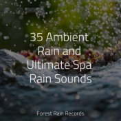 35 Ambient Rain and Ultimate Spa Rain Sounds