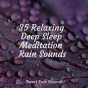 35 Relaxing Deep Sleep Meditation Rain Sounds