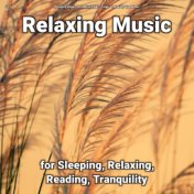 #01 Relaxing Music for Sleeping, Relaxing, Reading, Tranquility