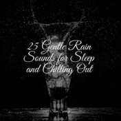 25 Gentle Rain Sounds for Sleep and Chilling Out