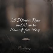 25 Winter Rain and Nature Sounds for Sleep