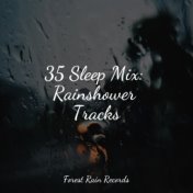 35 Sleep Mix: Rainshower Tracks