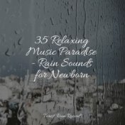 35 Relaxing Music Paradise - Rain Sounds for Newborn