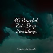 40 Peaceful Rain Drop Recordings