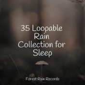 35 Loopable Rain Collection for Sleep