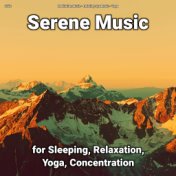 zZZz Serene Music for Sleeping, Relaxation, Yoga, Concentration